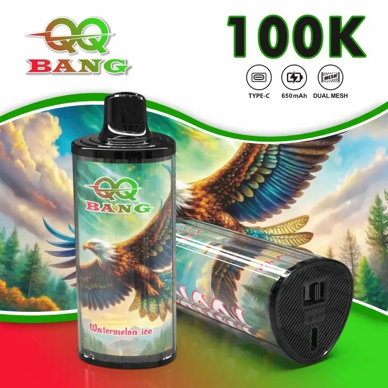 QQ Bang 100000 Puff Vape factory